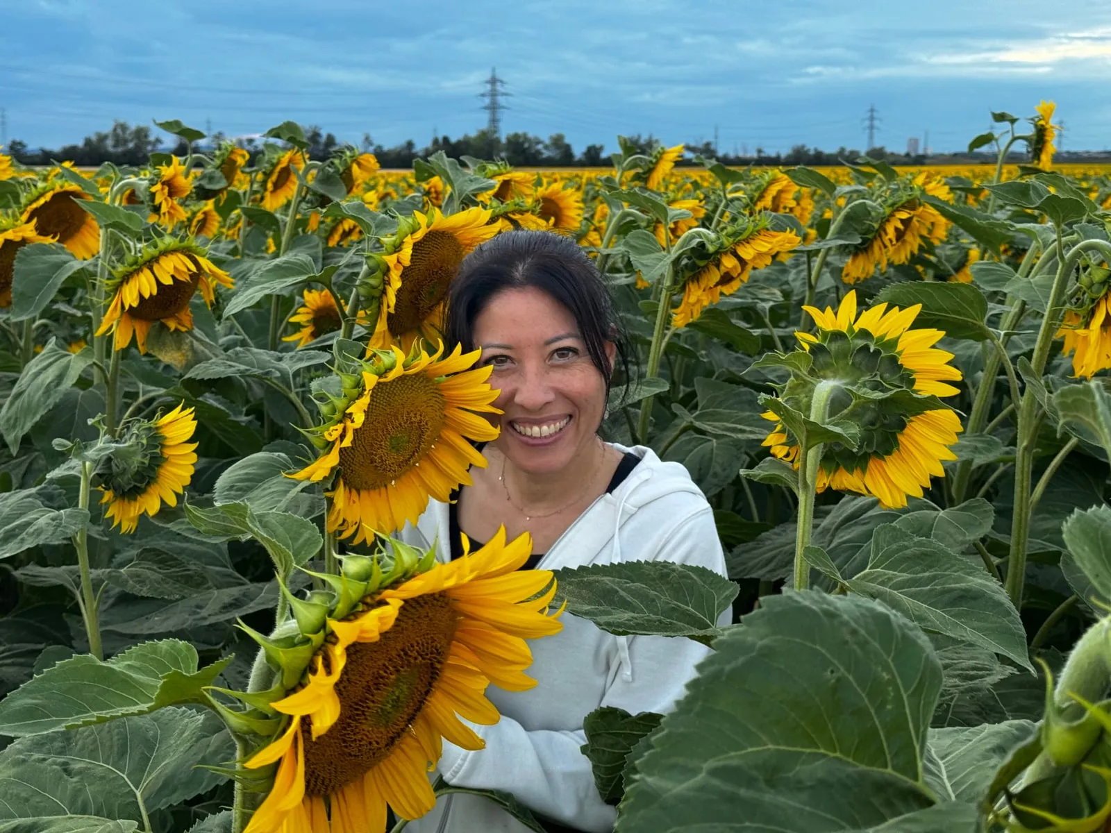 Hanako Sasse-Kraft in einem Sonnenblumenfeld